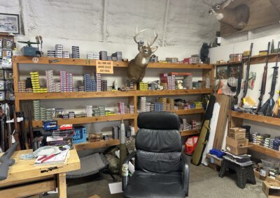 Shelves of available Ammo