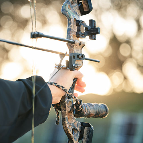 Compound Bow with Nocked Arrow