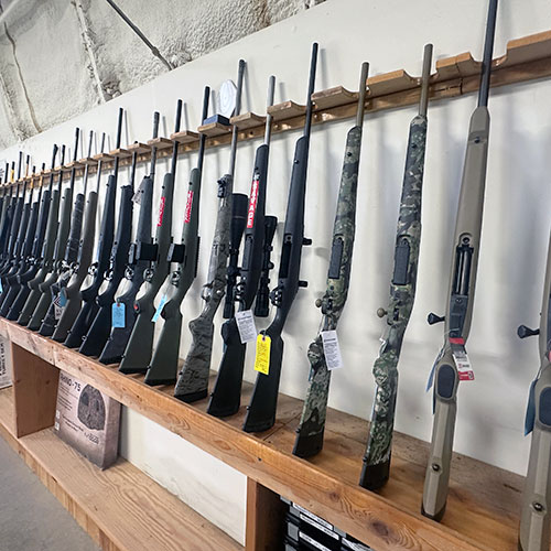 Row of In Stock Firearms