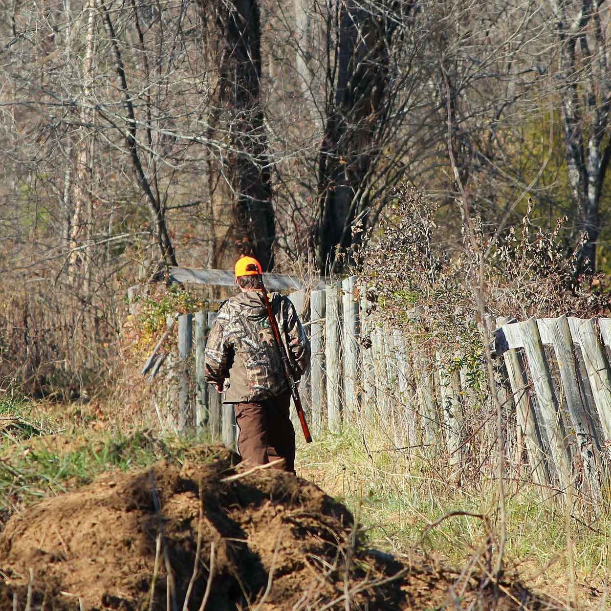hunting Hunter in Camo walking in field